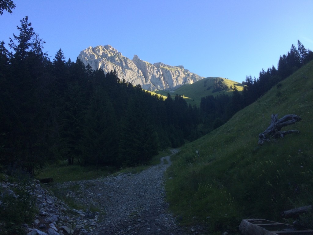 Les Cornettes de Bises vue de Chevennes (La Chapelle d'Abondance). 