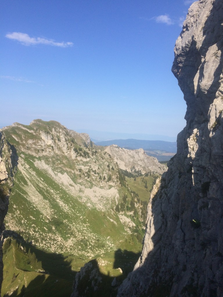 Départ du lieu dit Le Foron 1360 m (Taninges) arrivée au sommet de la pointe de Chalune 2116 m puis descente jusqu'au col de Vésinaz 1802 m remontée à la pointe Chavasse 2012 m et retour par le col de Chalune 1896 et le col du Foron 1832 m. Observations : trois marmottes, deux chamois. 