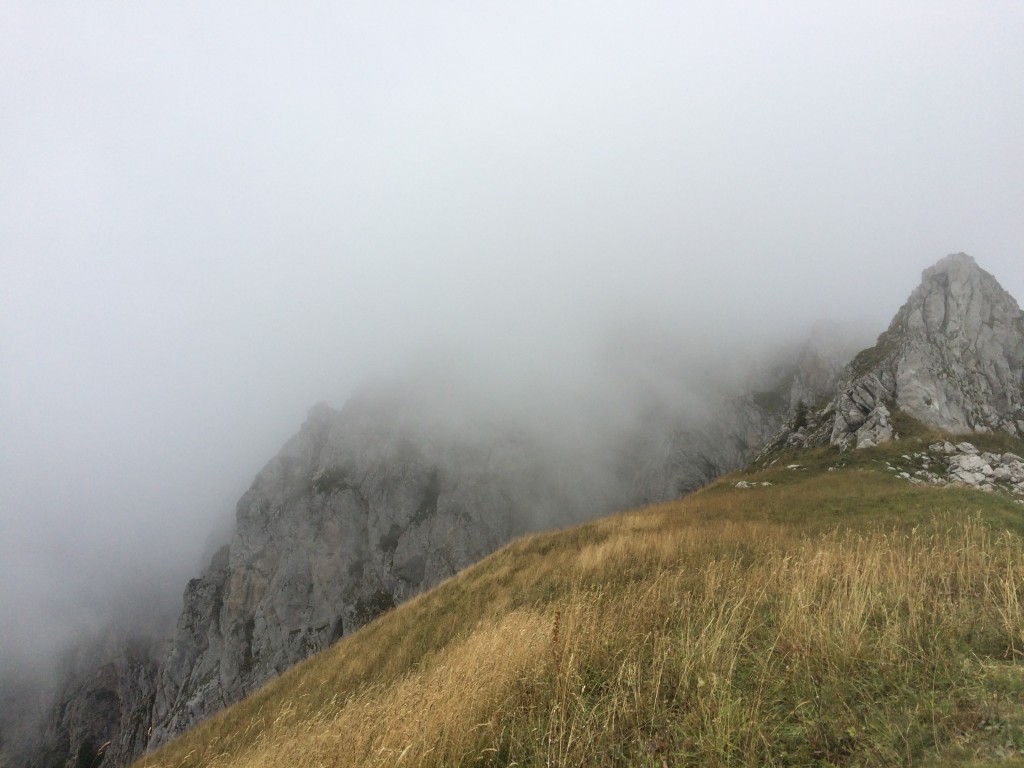 Vacheresse. Départ des chalets de Bise (1502 m) arrivée dans la brume au sommet de la pointe de Chavis (2075 m) par le col de Bise. Observation : un bouquetin et un épervier. 