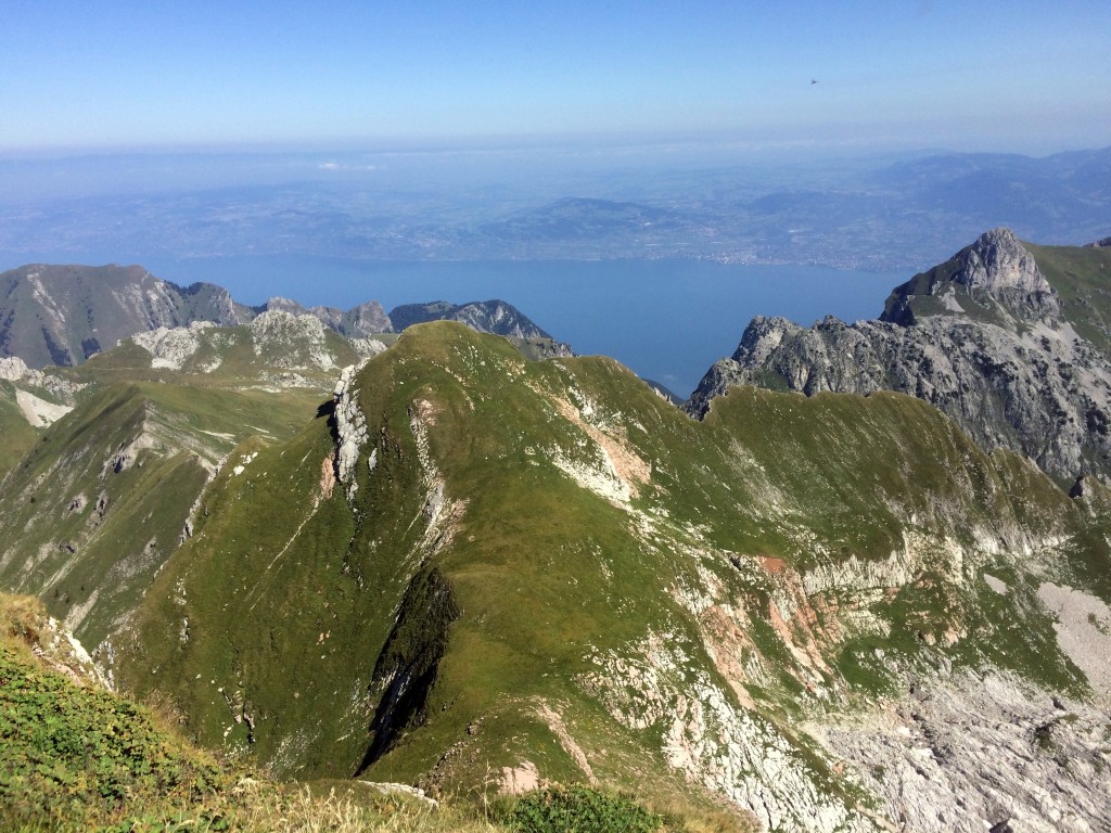 Montée au sommet des Cornettes de Bise (2432 m) depuis les chalets de Bise, puis descente par le col d'Ugeon. Plus de cinq heures de la plus belle rando du Chablais pour moi, de par sa diverstié dans le parcours et dans le paysage observé. Eu la chance de voir un chamois qui a traversé à vingt mètres devant ma voiture avant d'arriver au point de départ, ensuite deux faucons crécerelles, des vautours fauves, des bouquetins, un bloc de neige éternelle, des vaches, des chèvres et encore de nombreux touristes :-)